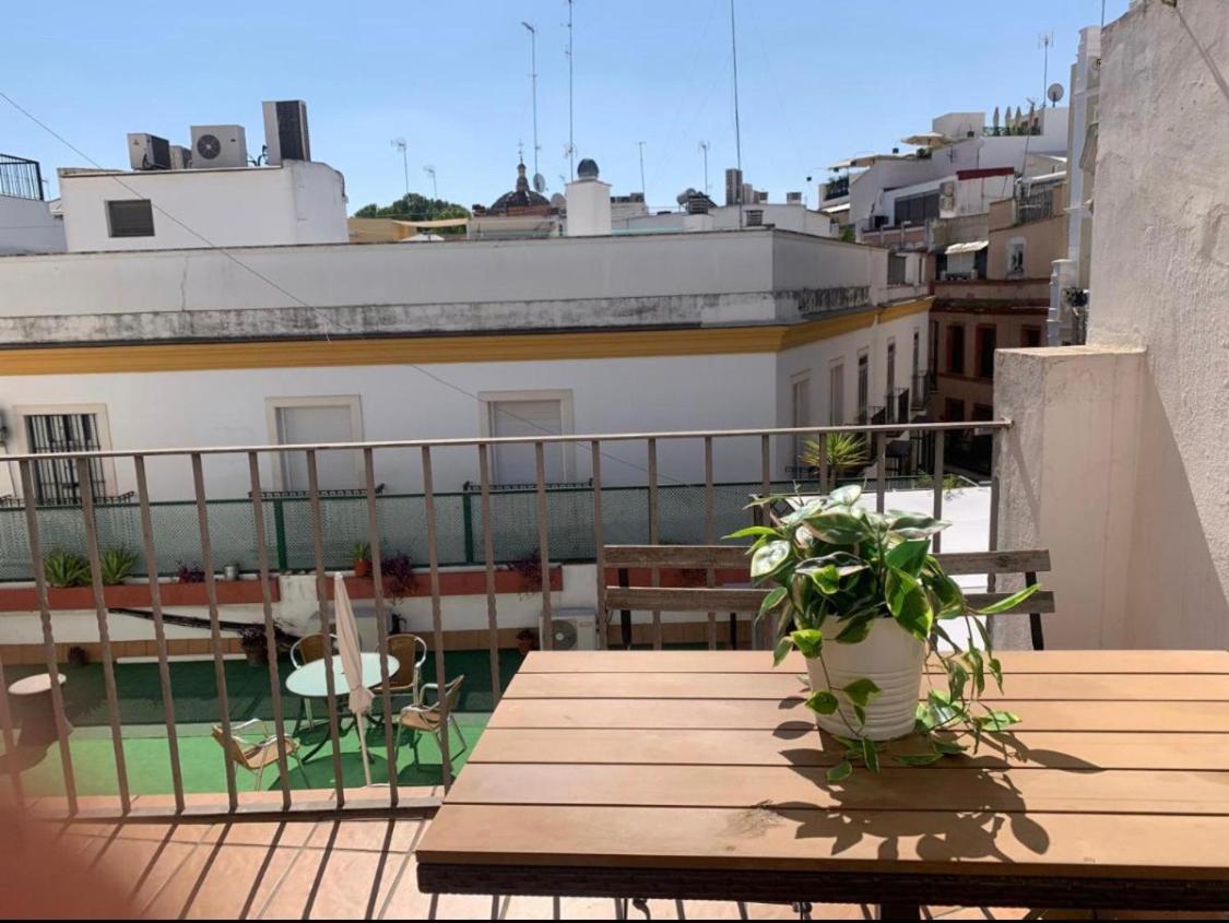 Sevilla's Bed And Terrace Sevilla